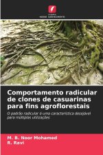 Comportamento radicular de clones de casuarinas para fins agroflorestais