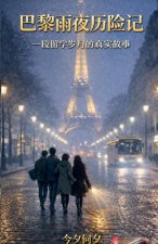 巴黎雨夜历险记：一段留学岁月的真实故事 （简体）