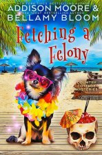 Fetching a Felony