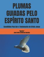 PLUMAS GUIADAS PELO ESPÍRITO SANTO
