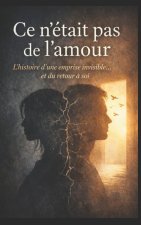 Ce n'était pas de l'amour