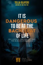 It Is Dangerous To Be At The Back Seat Of Life