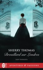 Brouillard sur Londres