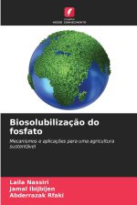 Biosolubilização do fosfato