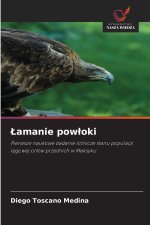 Łamanie powłoki