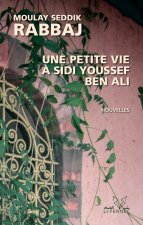 Une petite vie à sidi Youssef Ben Ali