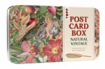 Postcard Box - Natural Vintage