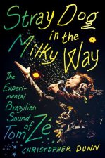 Stray Dog in the Milky Way