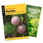 Foraging Florida Guidebook and Folding Pocket Guide Bundle