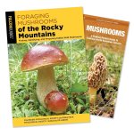 Foraging Mushrooms of the Rocky Mountains Guidebook and Folding Pocket Guide Bundle