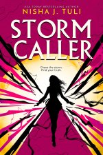 Storm Breaker 2