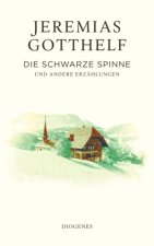 Die schwarze Spinne
