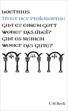 Trost der Philosophie