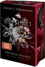 Behind the Broken. Der Vogel im Käfig