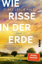 Wie Risse in der Erde