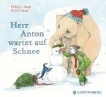 Herr Anton wartet auf Schnee