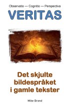 Det skjulte Bildespråket i gamle tekster