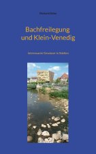 Bachfreilegung und Klein-Venedig