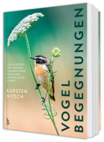 Vogelbegegnungen
