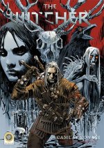 The Witcher Cilt 1 - Camlar Konagi