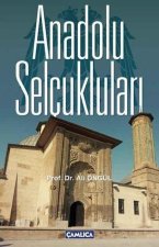 Anadolu Selcuklulari