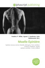 Moelle Épinière
