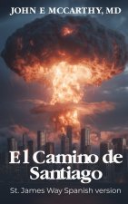 El Camino de Santiago