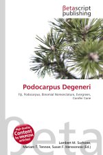 Podocarpus Degeneri