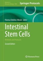 Intestinal Stem Cells