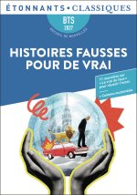 Recueil de nouvelles BTS 2027