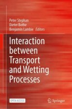 Interaction between Transport and Wetting Processes