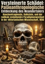 Versteinerte Schädel: Paläoanthropologische Entdeckung des Neandertalers
