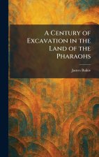 A Century of Excavation in the Land of the Pharaohs