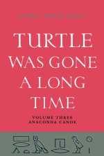 Turtle Was Gone A Long Time Vol.3