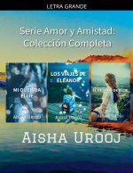 Serie Amor y Amistad