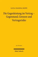 Die Gegenleistung im Vertrag - Gegenstand, Grenzen und Vertragsrisiko