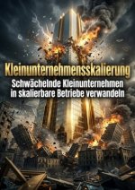 Kleinunternehmensskalierung