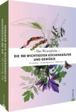 Das Wesentliche: Die wichtigsten Kräuter und Gewürze