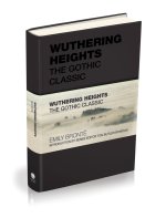 Wuthering Heights: The Gothic Classic