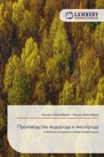 Proizwodstwo wodoroda i kisloroda