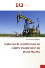 Évaluation de la performance du système d'exploitation du champ Muanda