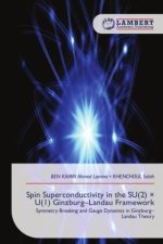 Spin Superconductivity in the SU(2) × U(1) Ginzburg-Landau Framework