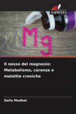 Il nesso del magnesio: Metabolismo, carenza e malattie croniche