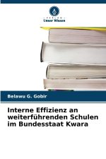 Interne Effizienz an weiterführenden Schulen im Bundesstaat Kwara