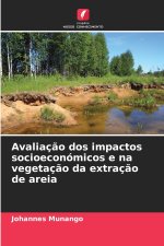 Avaliação dos impactos socioeconómicos e na vegetação da extração de areia
