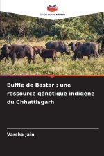 Buffle de Bastar