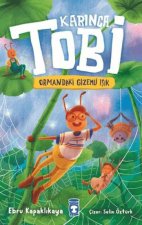 Karinca Tobi ve Ormandaki Gizemli Isik