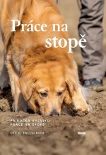 Práce na stopě