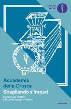 Sbagliando s'impari. Esercizi per mettere alla prova il proprio italiano