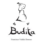 Budita